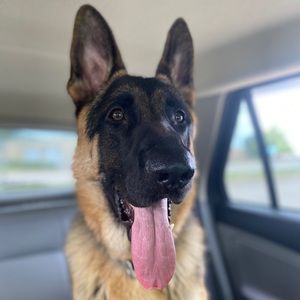 Meet your Posher, Kennedy